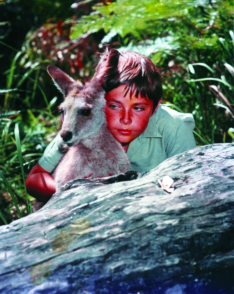 Skippy The Bush Kangaroo Revisited – Metro Magazine